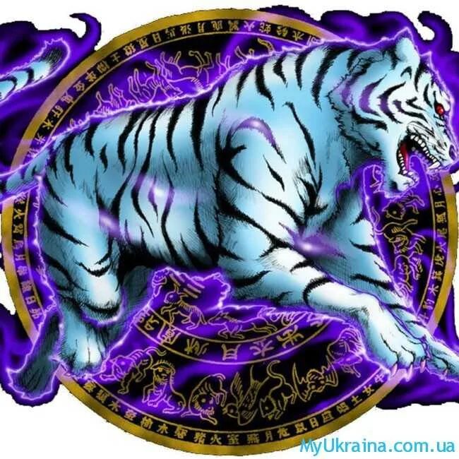 Тигр какой гороскоп. Тигр знак зодиака. Тигр Козерог. Рыба тигр женщина. Тигр рыба знак зодиака.