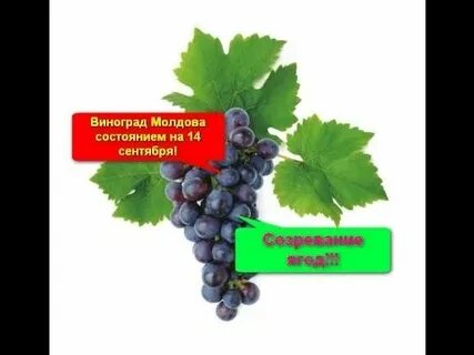Гражданское состояние молдова