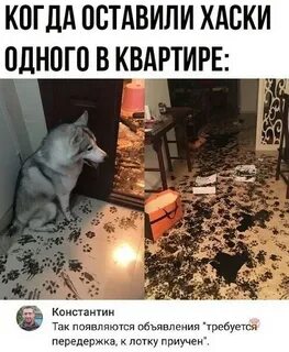 Оставить дома не с кем