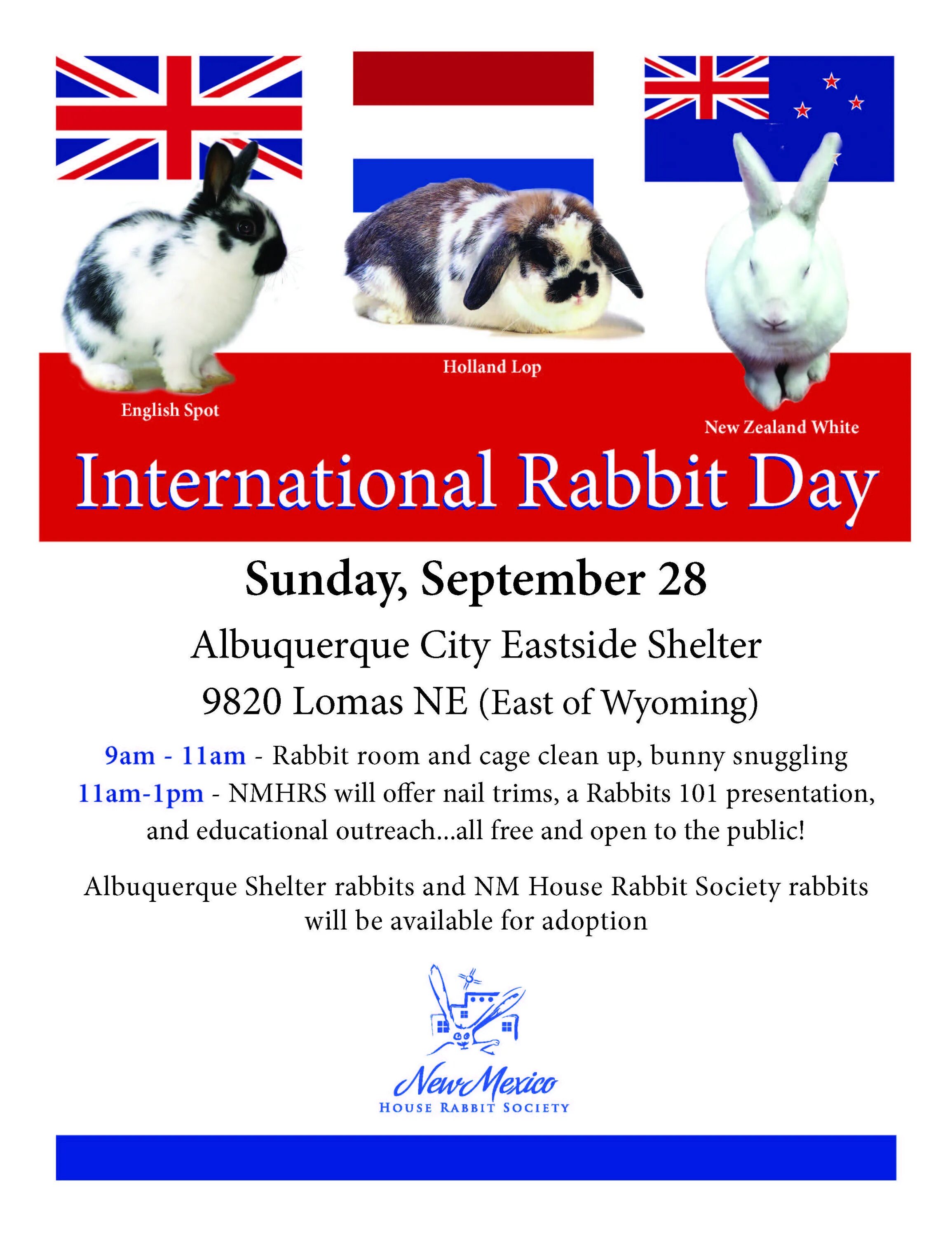 Спот инглиш. International Rabbit Day. English spot Rabbit. Английский спот кролик. Инглиш спот книга.