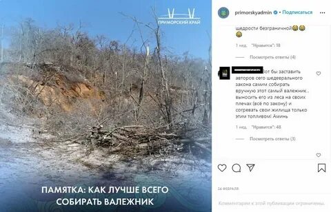 Сбор валежника в 2024