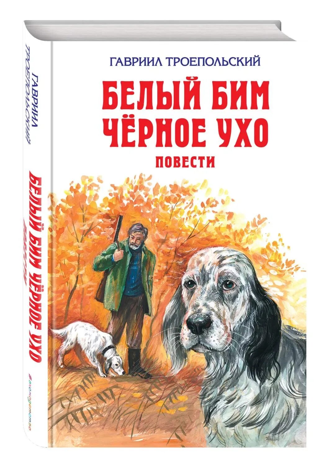 Г н троепольский белый бим черное ухо. Троепольский белый бим черное ухо герои. Троепольский белый бим черное ухо герои. Г. Презентация книги белый бим черное ухо.