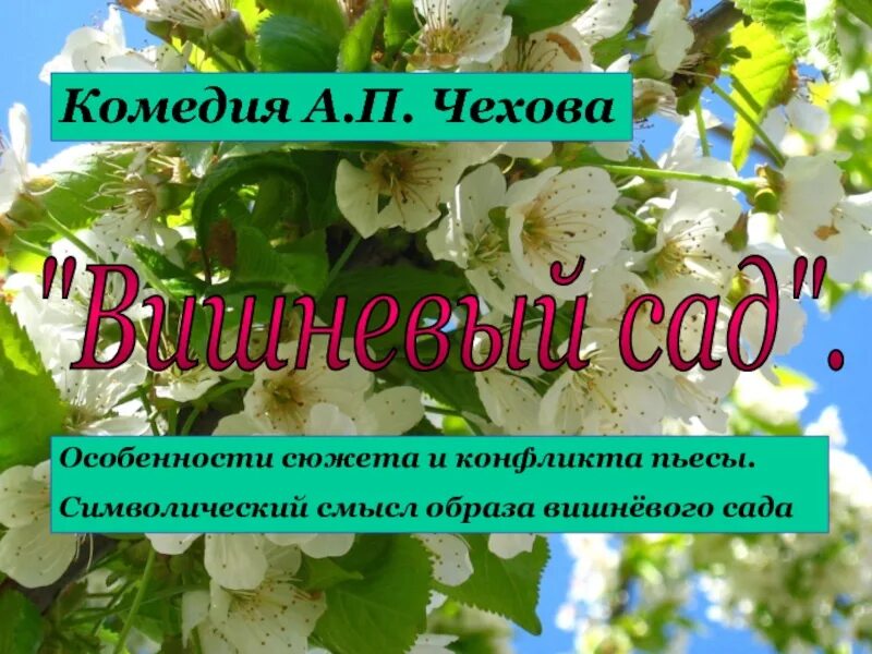 Система образов пьесы вишневый сад чехова. Символика вишневого сада. сюжет пьесы вишневый сад. сюжет и конфликт пьесы вишневый сад. вишневый сад смысл.