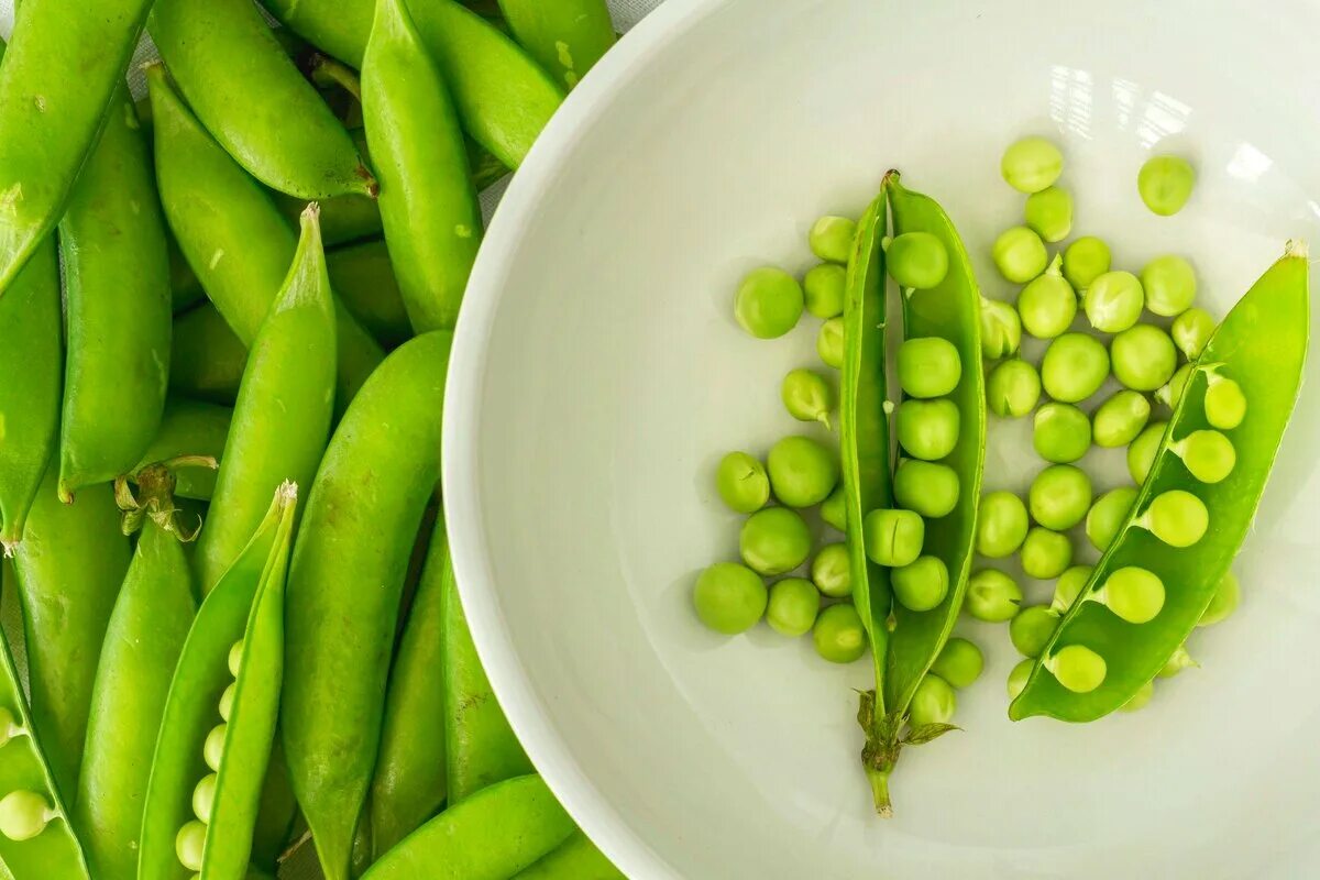 Морской горох. Горох картинка. Горох в России. Ашан стручковый горох. Green Peas.