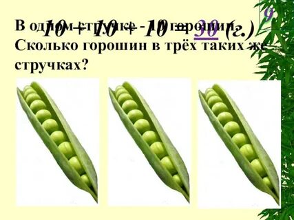 Горошек сколько углеводов