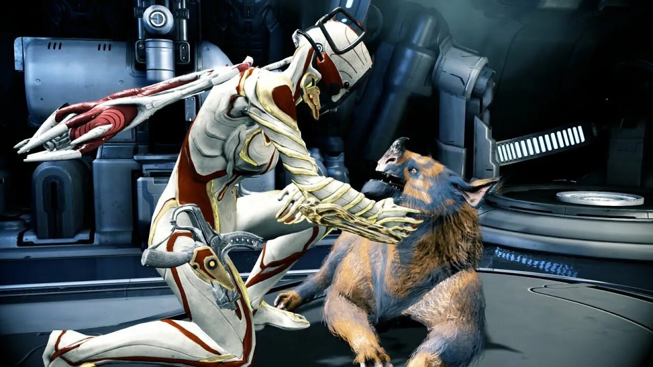 Кубрау warframe. Warframe животные. варфрейм питомцы. кубрау варфрейм. кубрау арт.