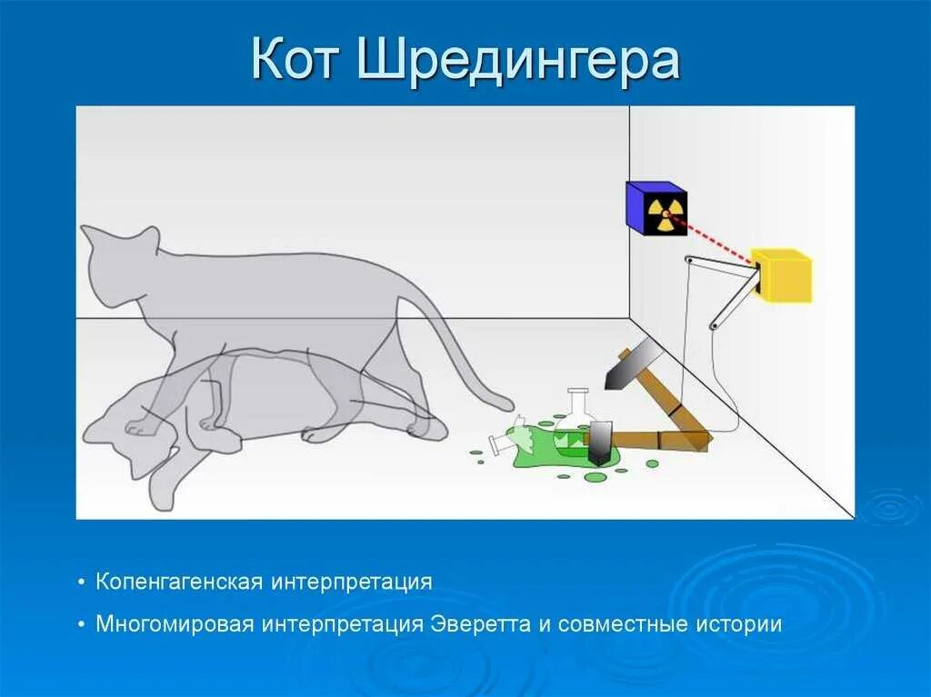 Эксперимент кот шредингера. Мысленный эксперимент кот шредингера. кот шредингера квантовая физика. квантовая механика многомировая интерпретация. копенгагенская интерпретация и кот шредингера.