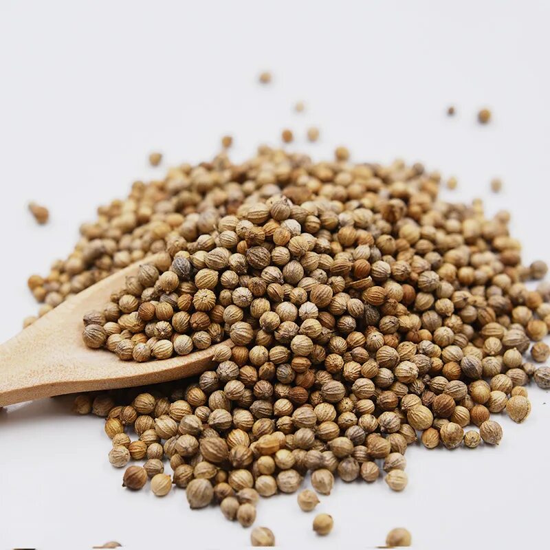 Приправа горошком кориандр. Кориандр семена - 250 гр. Кориандр. Круглые семена. Кориандр специя нидерлад.