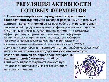 Ферментативная активность микроорганизмов