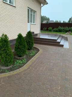 Paradyz brown