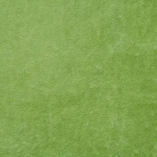 Grass ps
