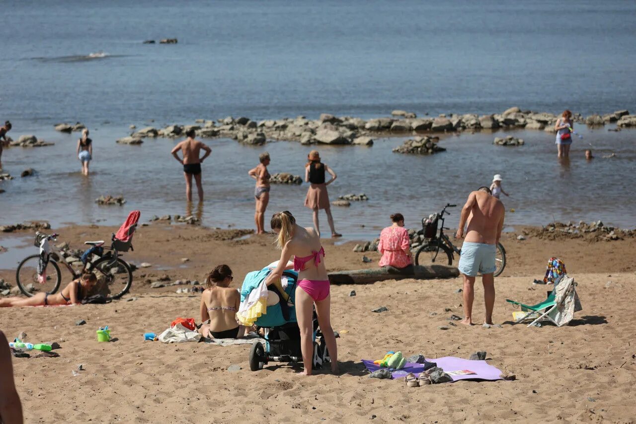 Черви на пляжах санкт петербурга