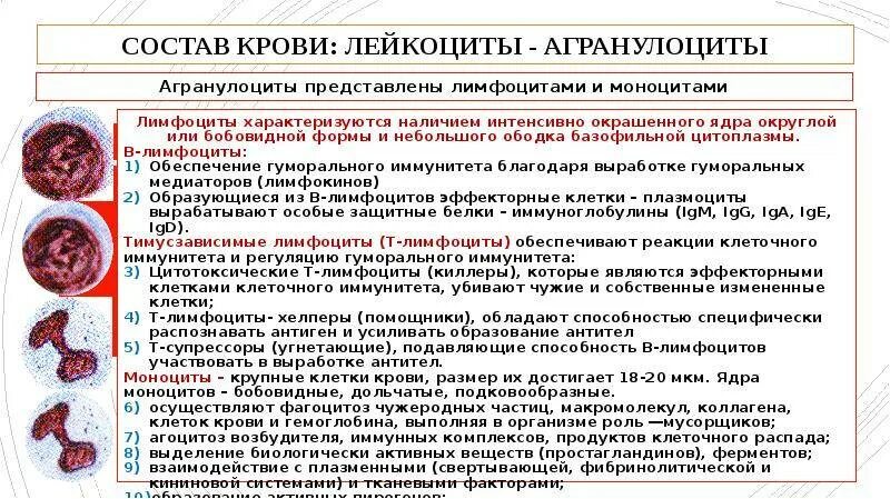 Инфекция в крови у ребенка что это