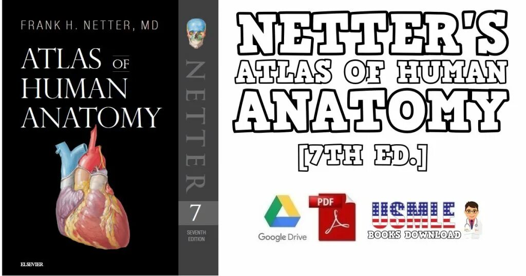 Atlas of human anatomy netter. Atlas of human anatomy netter 7th edition. netter&#039;s atlas of human anatomy pdf. atlas of human anatomy 7edition. неттер атлас инфекционных болезней.