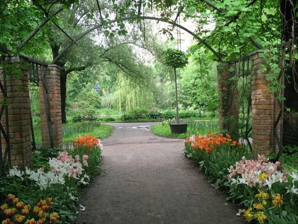 ботсад мгу аптекарский огород. бот сад мгу воробьевы горы. э. сады подмосковья. отанический сад мгу «аптекарский огород».