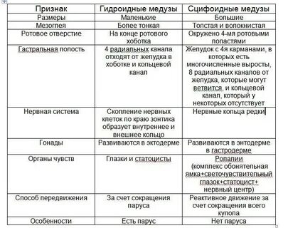 Сравнительная характеристика классов кишечнополостных таблица