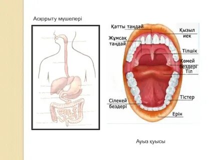 Overlord порно видео
