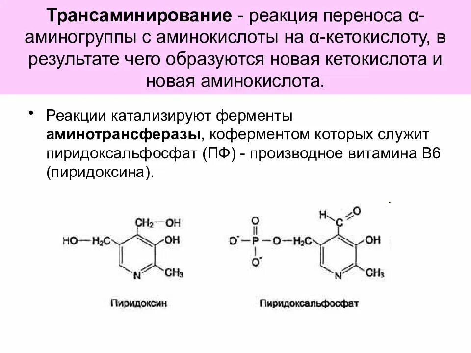 Химическая реакция катализируемая ферментом. Трансаминирование кофермент. Переаминирование аминокислот ферменты. Трансаминирование триптофана. Коферментная функция витамина в6.