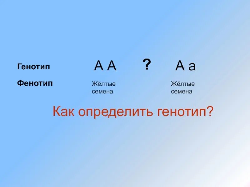 Генотип бывает. Генотип АА. АА АА генотип и фенотип. Как найти фенотип и генотип. Генотипы родителей АА АА.