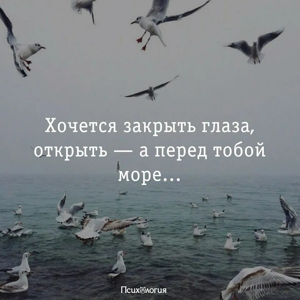 Хочешь закрой