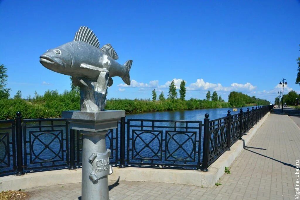 Белозерский судак памятник. Герб белоозеро. Памятник белозерскому судаку белозерск. Памятник судаку в белозерске. Белозерск рыба.