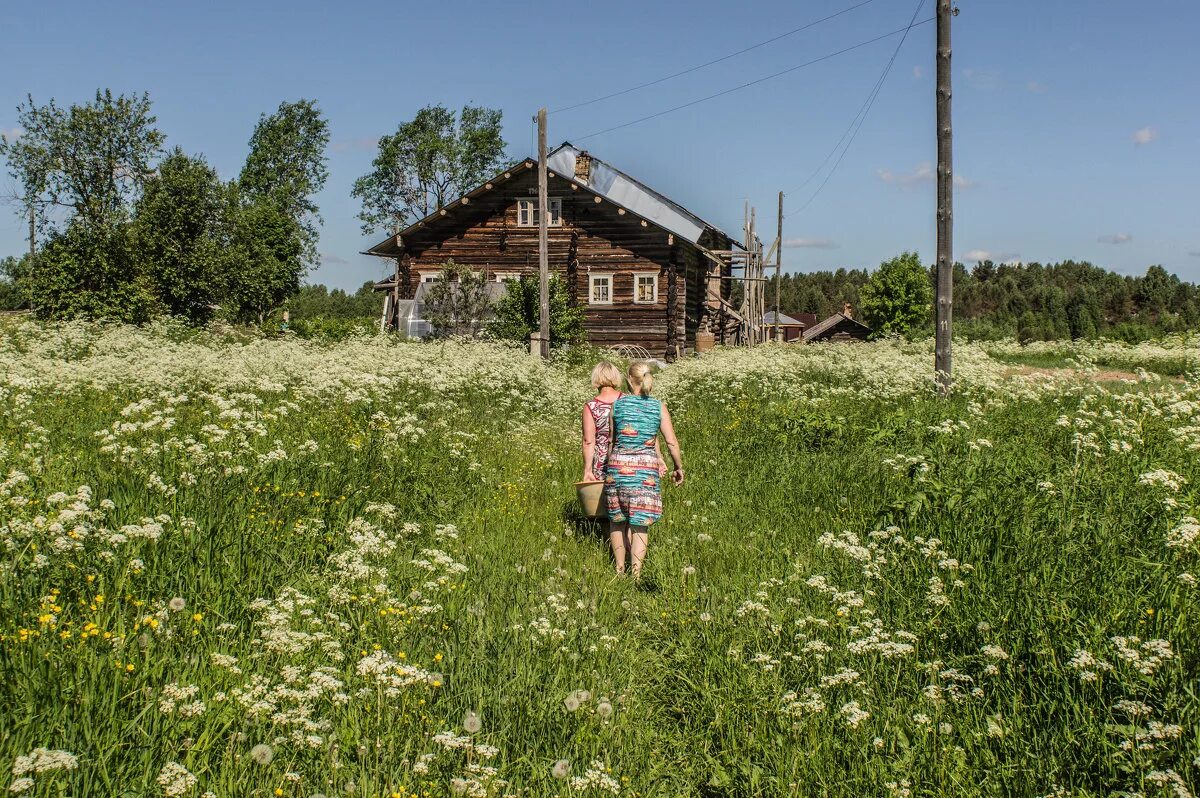 Русское живое домашнее. Лето в деревне. Деревенская жизнь. Жизнь в деревне. Картинки деревня летом.
