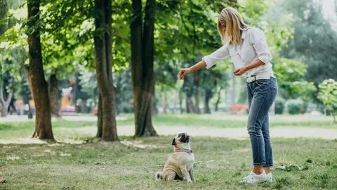 В удобное для них