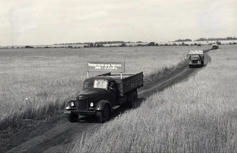 Целина Алтайский край. Целинный Совхоз Алтай. Целина на Алтае 1954. Целина Алтайский край 1957. Целинный телефон алтайский край