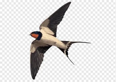 Qizi va yigiti bilan onaning jinsiy aloqa video