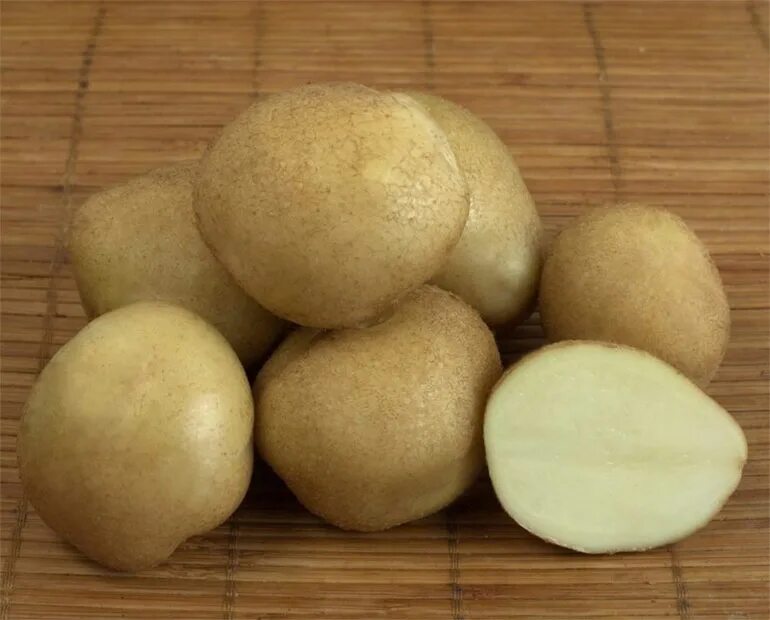 Картофель семенной голубизна. Картофель сорт Фрителла. Картофель голубизна суперэлита. Картофель голубизна