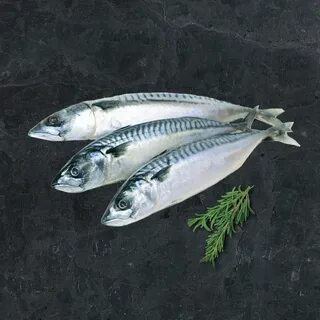 Тушка скумбрии