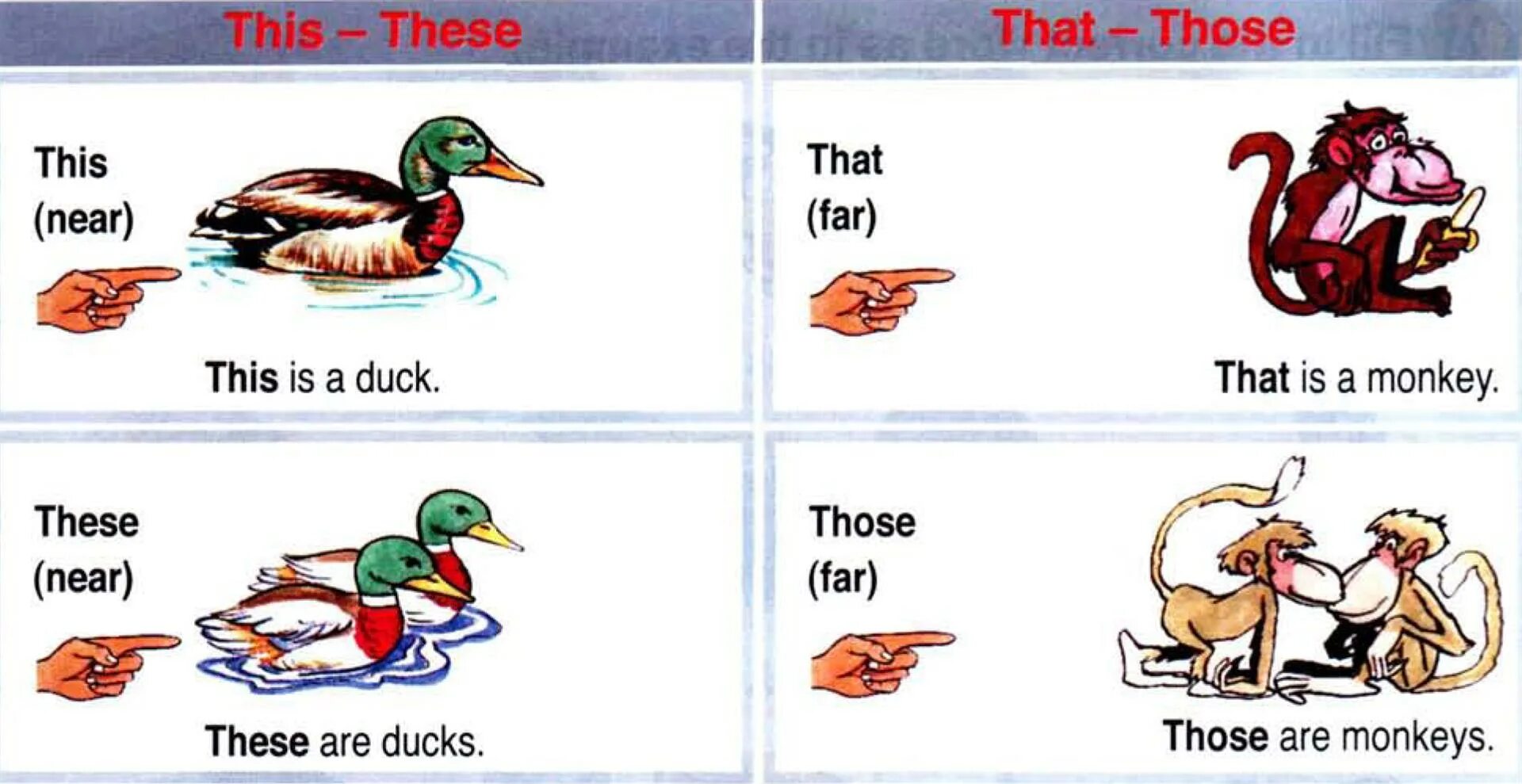 Can be sure that this. Modals of deduction and possibility правило. Модальные глаголы can must have to. Ошибка кот гиф. Can be sure that this.