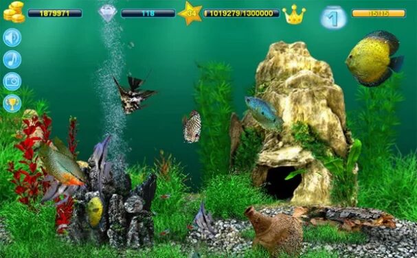 Аквамир 3д кристальный сад. Аквамир 3d аквариум. Аквамир 3d аквариум. Аквамир 3d аквариум. Аквамир 3д акула.