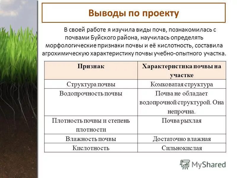 Что влияет на образование типов почв. Характеристика почвы. описание морфологических признаков почвы.