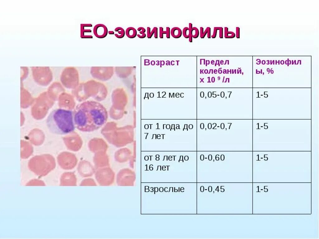 Эозинофилы 0 2