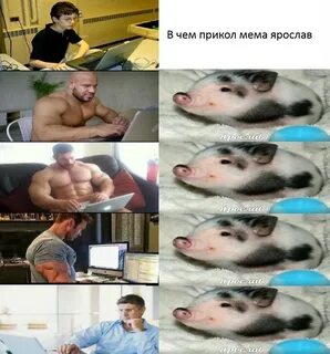Свинья не выдаст