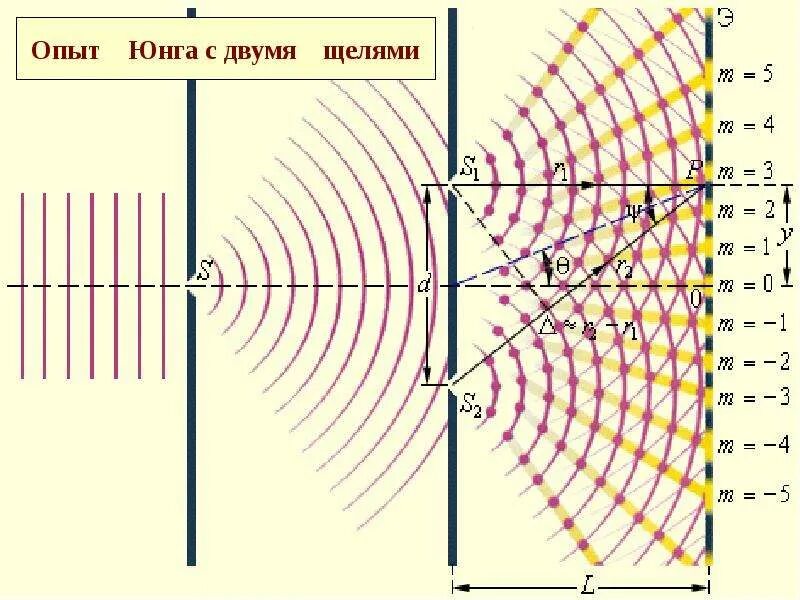 Точка юнга. Опыт Юнга интерференция. Эксперимент с двумя щелями Юнг. Опыт Юнга с двумя щелями. Интерференция света опыт Юнга.