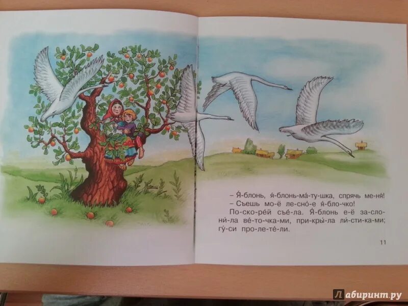Сказка лебеди читать. Сказка лебеди читать