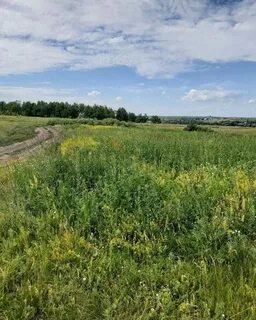 Участки саратовская область