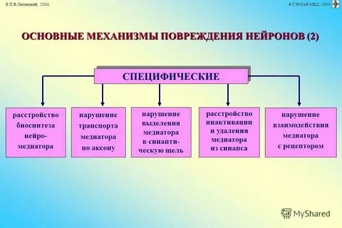 Общий механизмы это