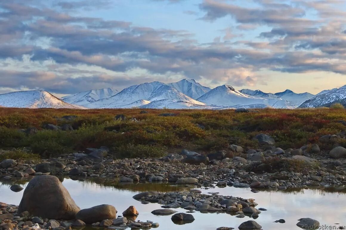 алтай чукотка. чукотка автономный округ природа. природа мыса дежнева. поселок южный чукотка. город анадырь чукотский автономный округ.