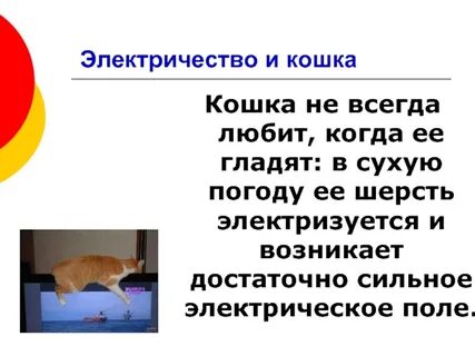 Кошка научный текст 4 класс