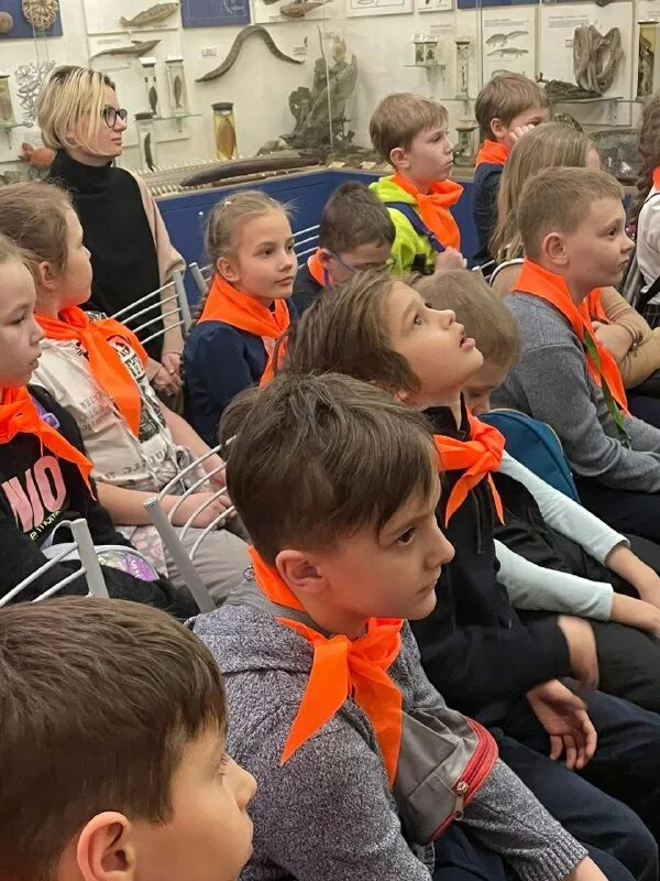 школа 1811 отзывы. школа 1811 москва корпус 7. школа 1811 восточное измайлово корпус 7. школа 1811 отзывы. школа 1811 восточное измайлово.