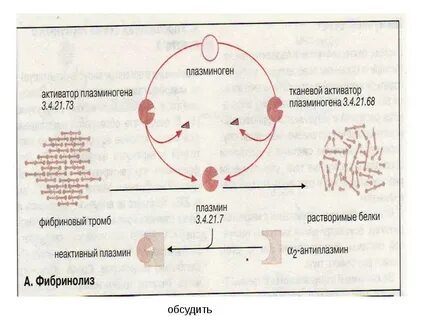 Плазминоген