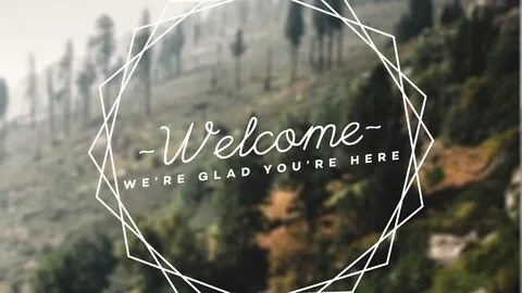 Our new beginning