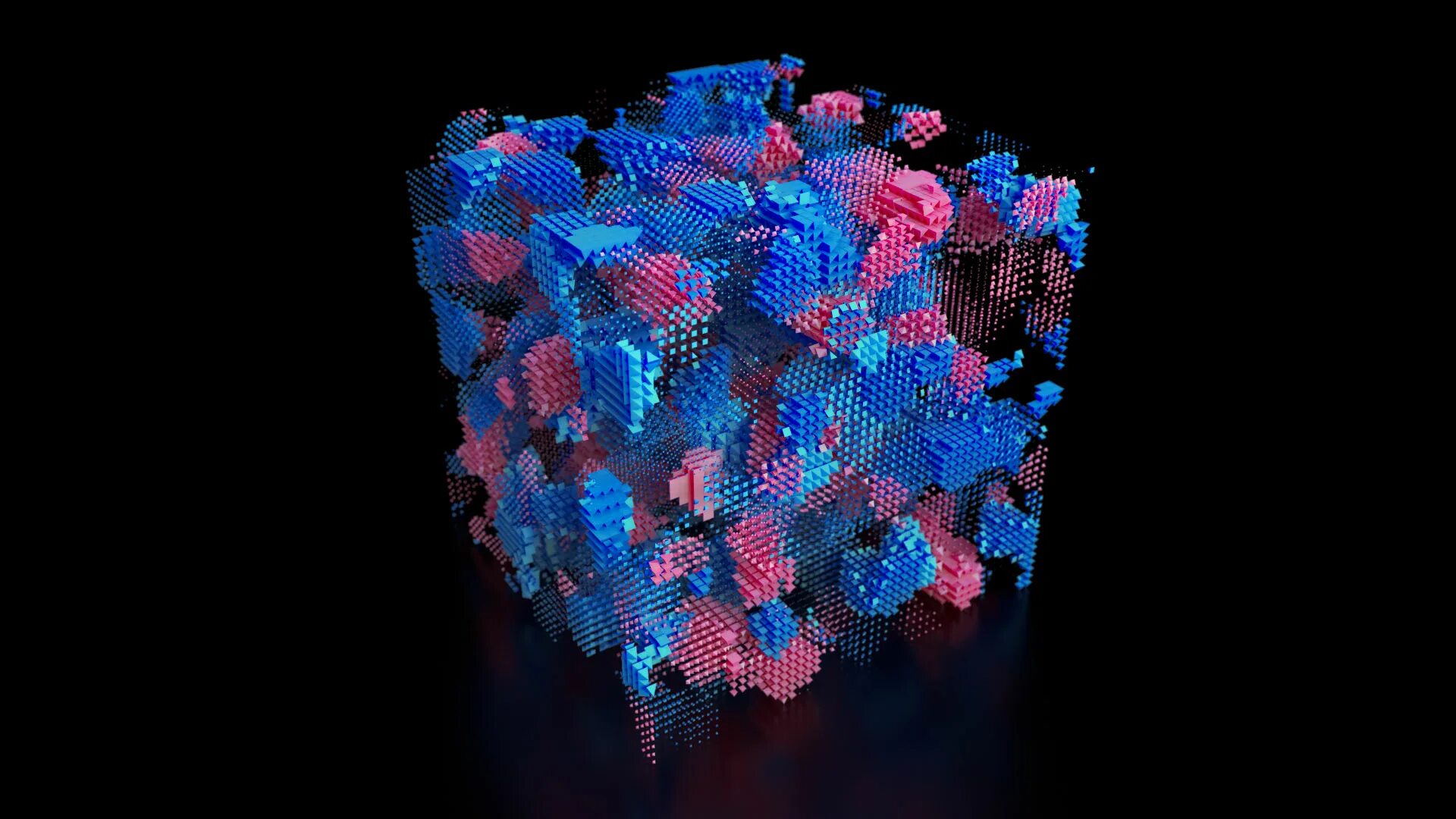 C 4 d 2