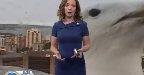 Ведущая канада