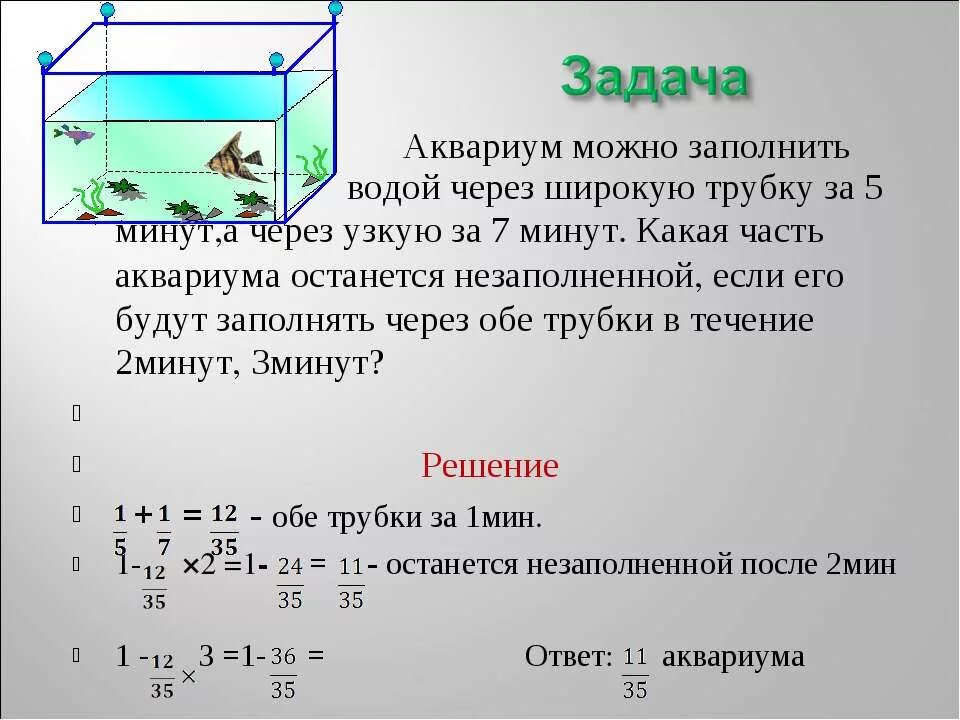 Кот протискивается в щель. Через узкую. Наполнить бассейн. Переправа через реку, овраг по бревну. Любопытство кошек.