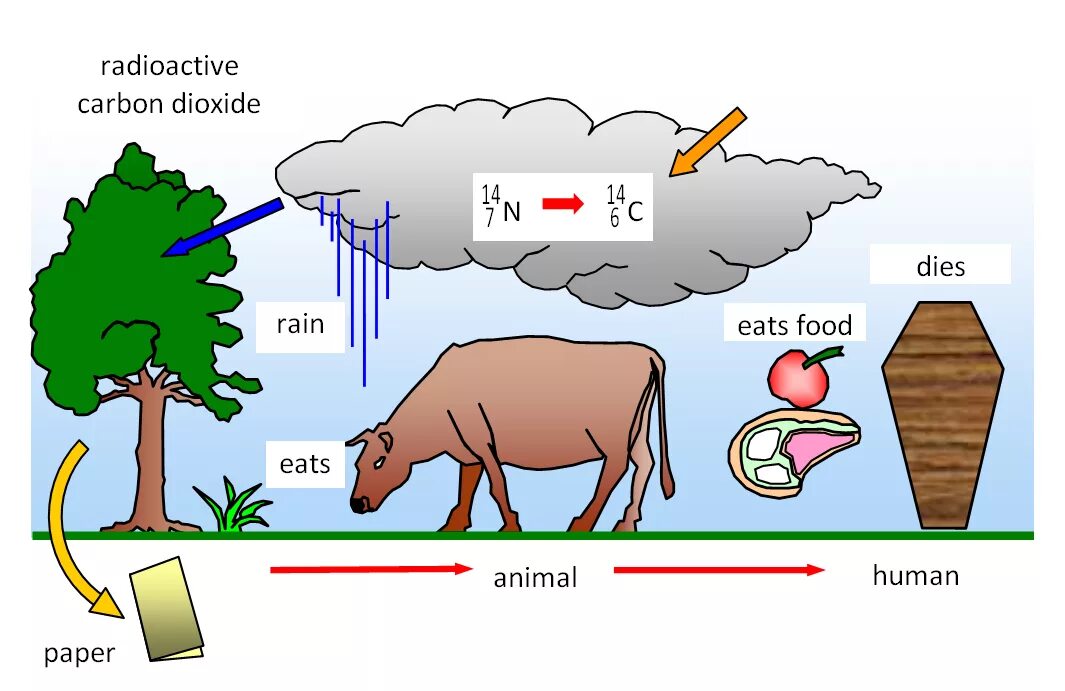 Use carbon dioxide. Радиоактив ифлосланиш. Carbon dating. Radioactive substance. Radiocarbon dating.