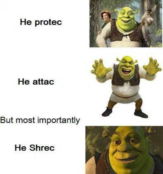 Also protects. He attac. He attac he Protec. He Protec he Attack but most importantly. He protect he Attack but most importantly Мем.